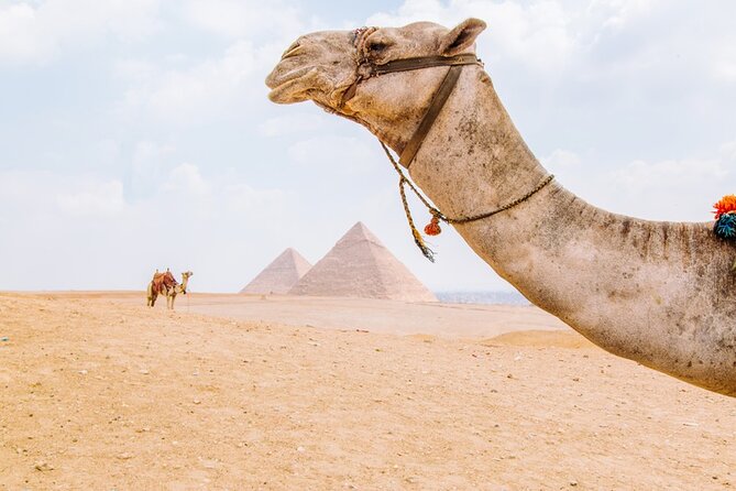 From Cairo: Private Crowd Free Half Day Pyramids Adventure - Inclusions