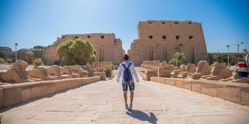 From Cairo: Private Trip to Luxor From Cairo by Plane - Transportation and Logistics