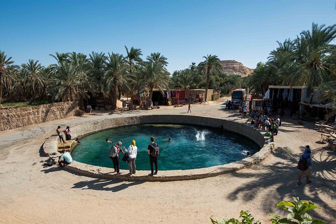 From Cairo: Sulfur & Salt Lake Swim, 4x4 Safari & Siwa Oasis Tour - Tour Overview