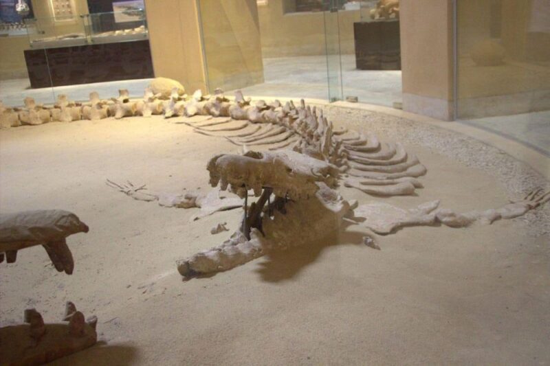 From Cairo: Wadi El-Rayan & Waterfalls & Magic Lake - Magic Lake Experience