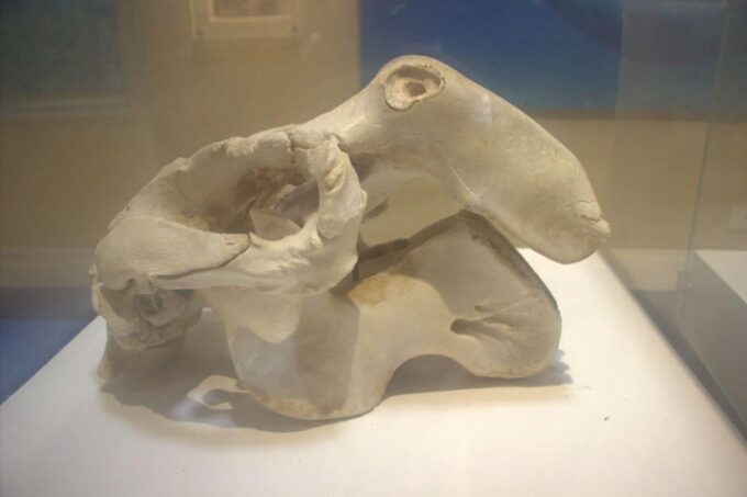 From Cairo: Wadi El-Rayan & Waterfalls & Magic Lake - Cultural Etiquette and Tips