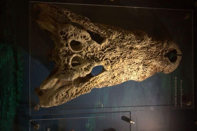 From Cairo: Wadi El-Rayan & Waterfalls & Magic Lake - Practical Considerations