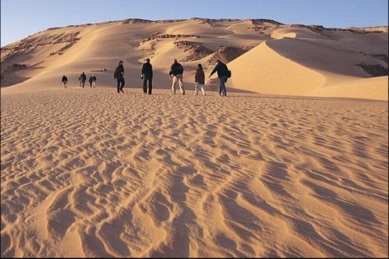 From Cairo: Whale Valley and Wadi El Rayan Waterfalls Tour - Key Points