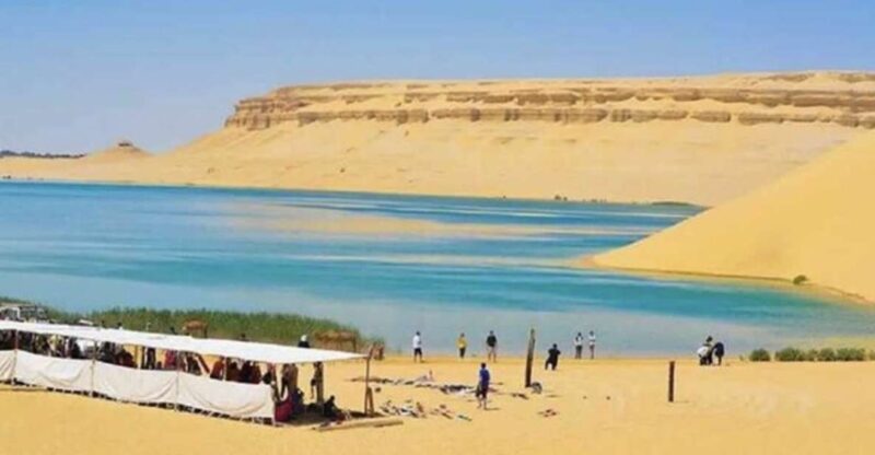 From Cairo: Whale Valley and Wadi El Rayan Waterfalls Tour - Itinerary Highlights