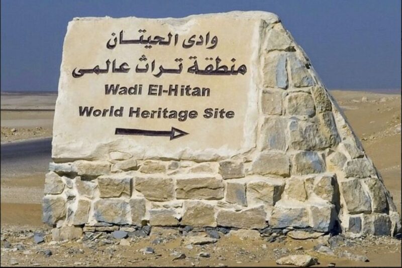 From Cairo: Whale Valley and Wadi El Rayan Waterfalls Tour - Customer Experience and Reviews