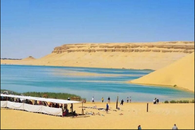 From Cairo: Whale Valley and Wadi El Rayan Waterfalls Tour - Inclusions