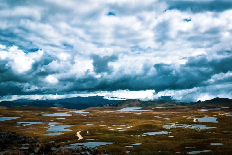 From Cajamarca: Lagoons of Alto Peru - Flora and Fauna