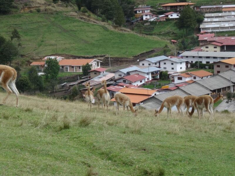 From Cajamarca: Porcon Farm - Booking and Cancellation Policy