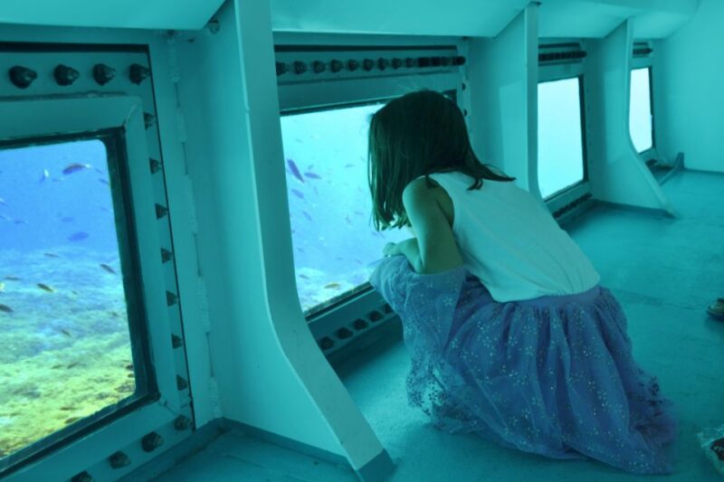 From Cala Bona: East Coast Glass-Bottom Boat Trip - Inclusions