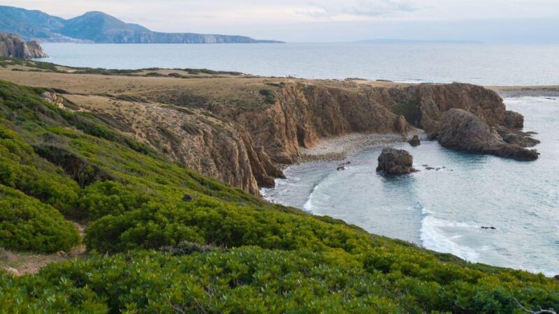 From Cala Domestica: Half-Day Excursion to Capo Pecora - Suitability and Restrictions
