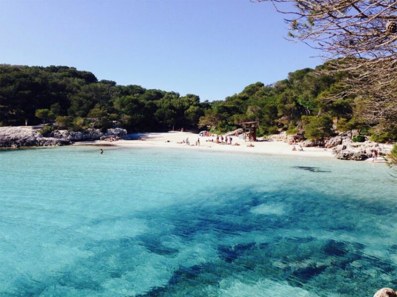 From Cala Galdana: 2-Hour Glass-Bottom Boat Trip - Experience Highlights
