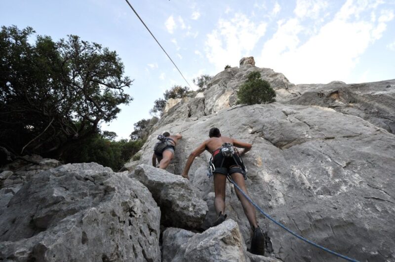From Cala Gonone: Canyon Codula Fuili Climbing Tour - Experience Highlights