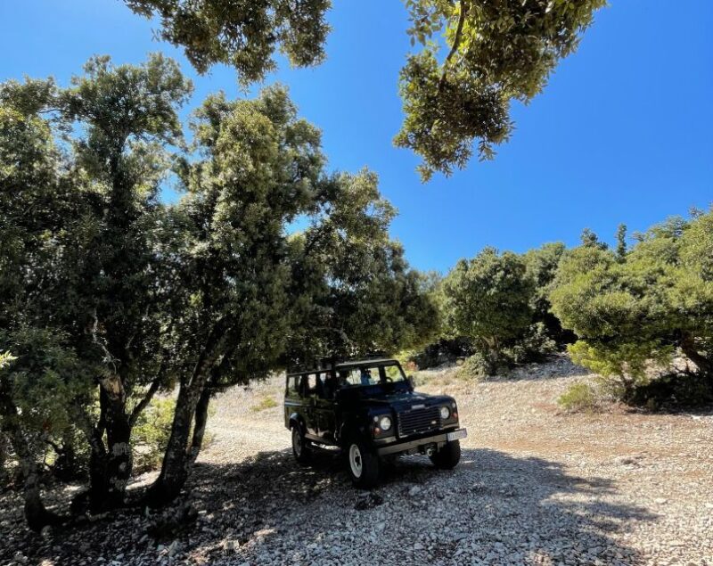 From Cala Gonone: Food, Wine and Craft Tours in Dorgali - Itinerary Details