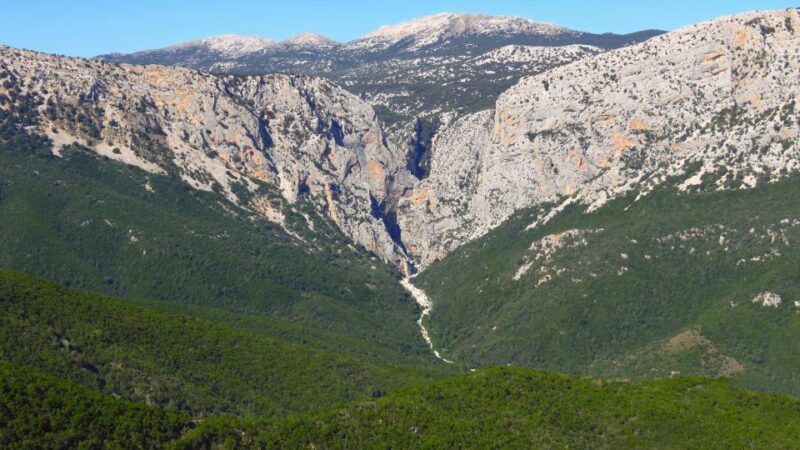 From Cala Gonone: Gorropu Hiking With Lunch - Lunch and Dietary Information