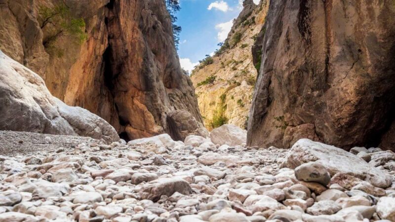 From Cala Gonone: Gorropu Hiking With Lunch - Transportation and Meeting Point