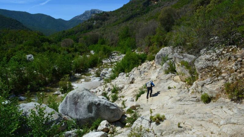 From Cala Gonone: Gorropu Hiking With Lunch - Suitability and Child Accommodations