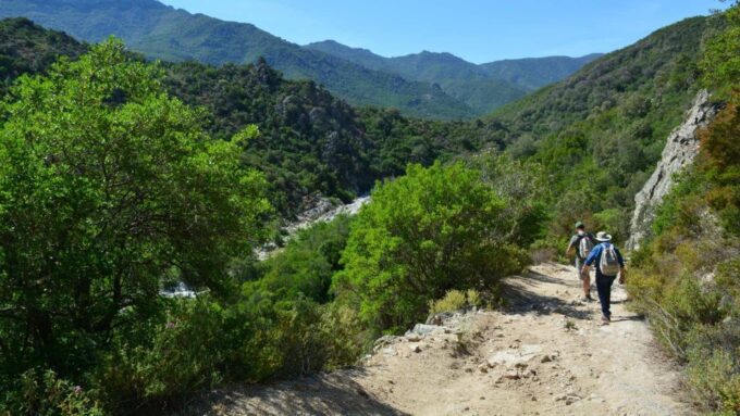 From Cala Gonone: Gorropu Hiking With Lunch - Group Size and Confirmation
