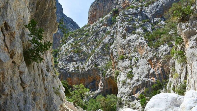 From Cala Gonone: Gorropu Hiking With Lunch - Customer Feedback and Ratings
