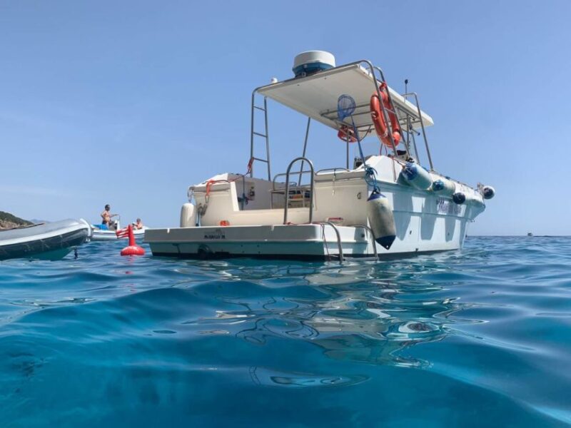 From Cala Gonone: Gulf of Orosei Speedboat Trip and Aperitif - Pricing and Availability