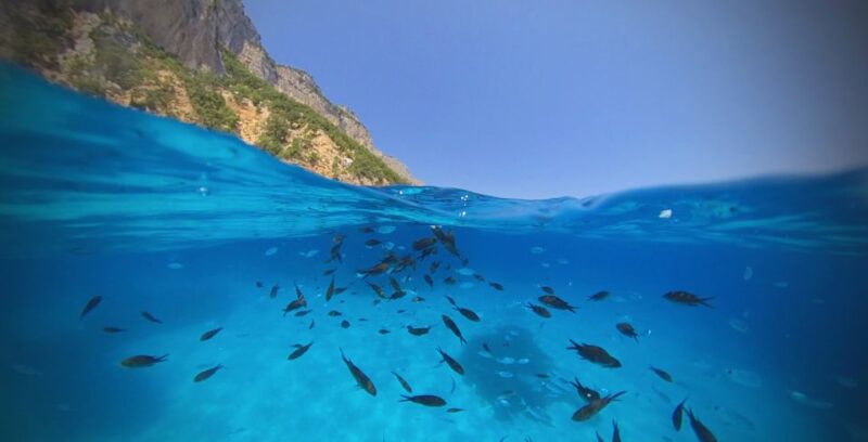 From Cala Gonone: Gulf of Orosei Speedboat Trip and Aperitif - Highlights and Itinerary