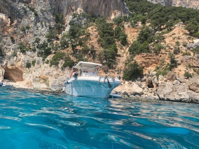 From Cala Gonone: Gulf of Orosei Speedboat Trip and Aperitif - Frequently Asked Questions
