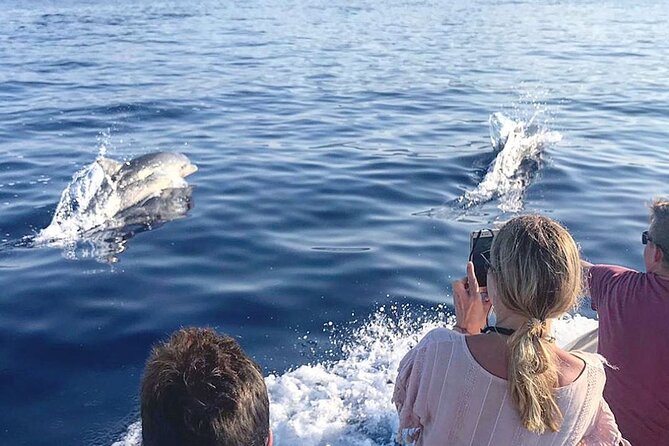 From Cala Gonone: Naturalistic Excursion on a RIB - Customer Feedback and Concerns