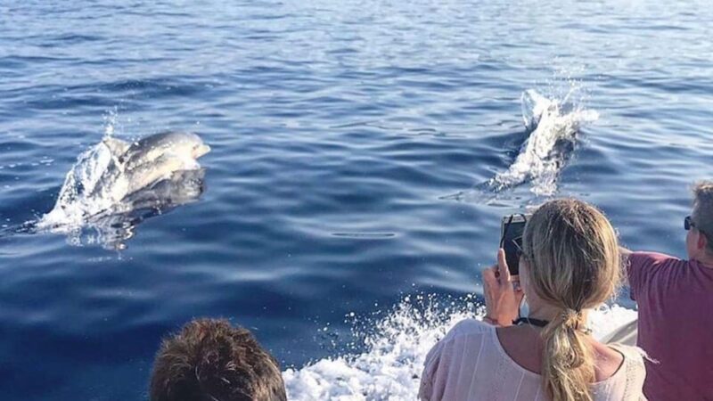 From Cala Gonone: Naturalistic Excursion on a RIB - Key Points