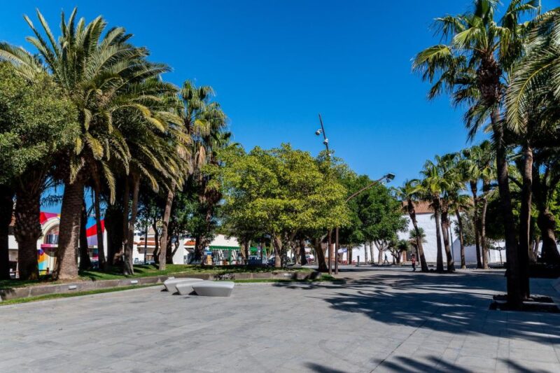 From Caleta De Fuste: Explore Rural Fuerteventura Tour - Customer Reviews