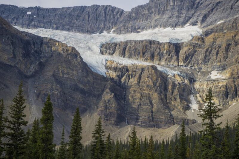 From Calgary/Banff: Columbia Icefield Day Trip - Activity Highlights