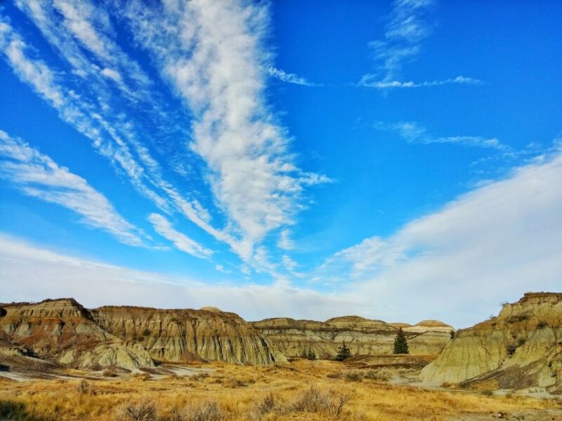 From Calgary: Canadian Badlands Private Geological Tour - Hoodoos Trail and Worlds Largest Dinosaur