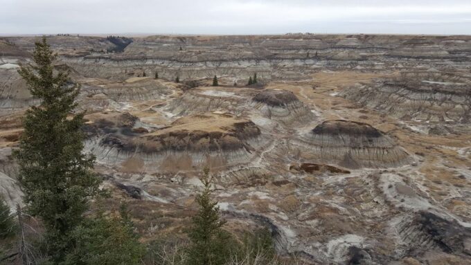 From Calgary: Canadian Badlands Private Geological Tour - Frequently Asked Questions