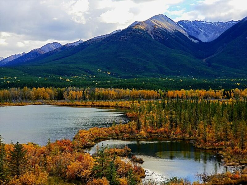 From Calgary: Deep 1 Day Tour in Banff - Customer Feedback