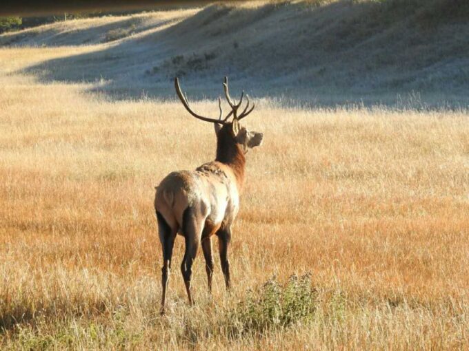 From Calgary: Deep 1 Day Tour in Banff - Duration and Group Size