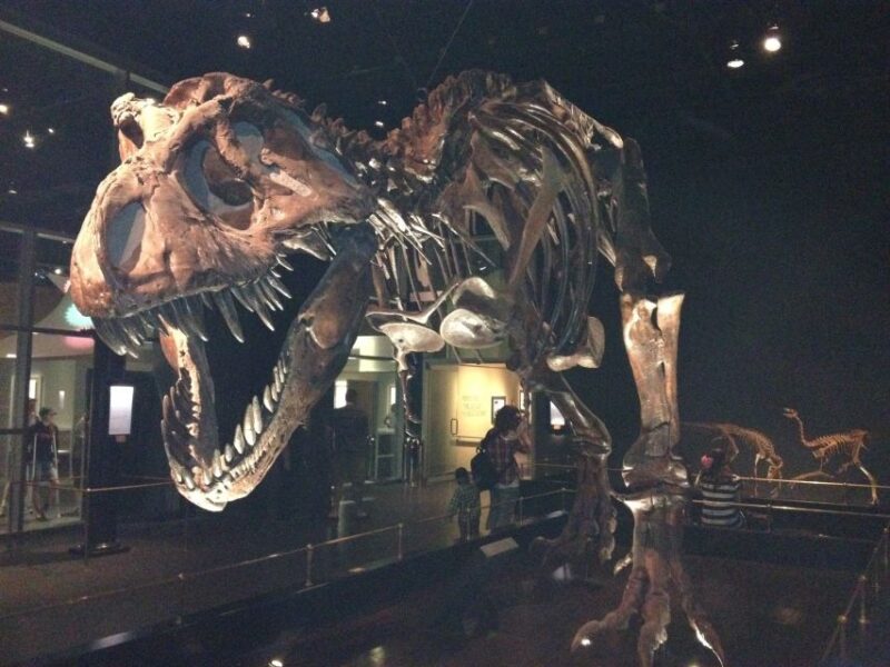 From Calgary: Drumheller and Badlands Tour - Inclusions