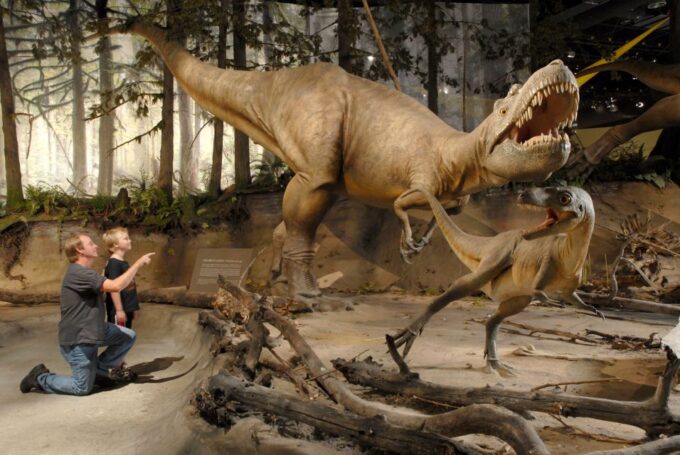 From Calgary: Drumheller and Badlands Tour - Booking Information