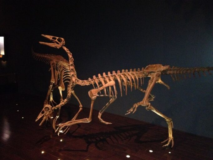 From Calgary: Drumheller and Badlands Tour - Frequently Asked Questions
