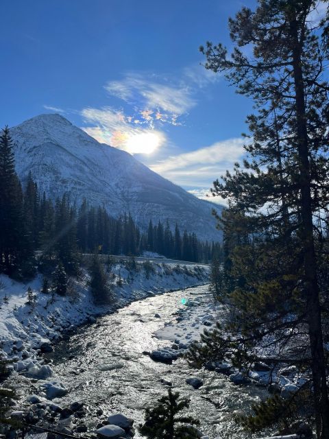 From Calgary: Kootenay National Park Day Trip - Itinerary Highlights