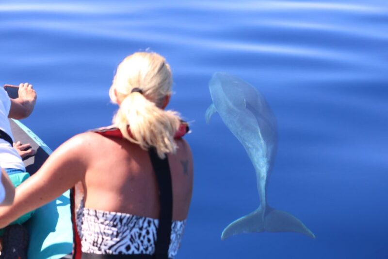 From Calheta: Whale and Dolphin Watching RIB Boat Tour - Location and Duration