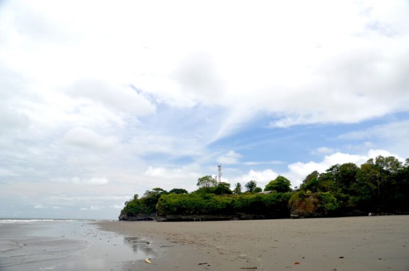From Cali: Whale Watching Day Trip in Buenaventura - What to Bring