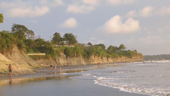 From Cali: Whale Watching Day Trip in Buenaventura - Accessibility