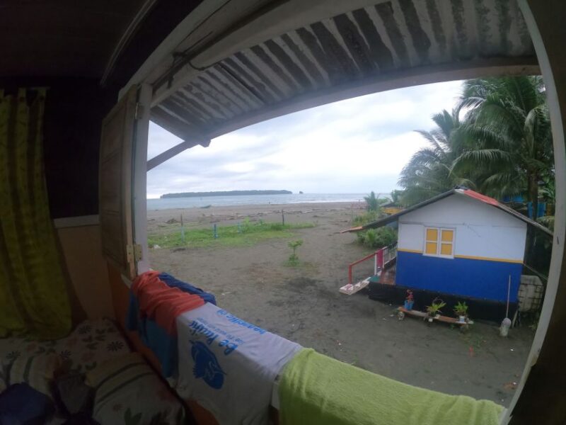 From Cali: Whale Watching Day Trip in Buenaventura - Itinerary