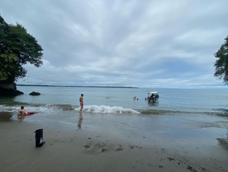 From Cali: Whale Watching Day Trip in Buenaventura - Inclusions
