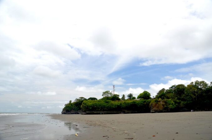From Cali: Whale Watching Day Trip in Buenaventura - Customer Reviews