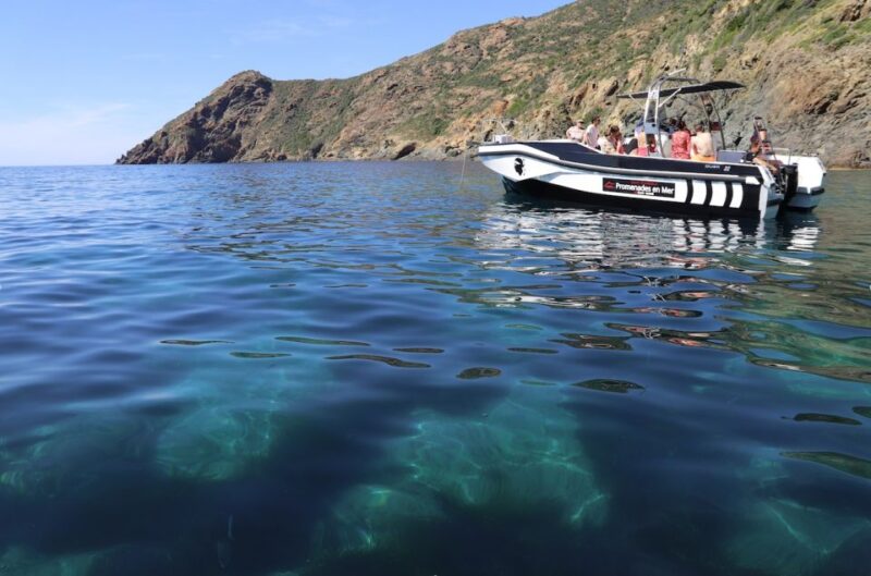 From Calvi: 2-Hour Sunset Cruise to Revellata Peninsula - Calvis Historical Commentary