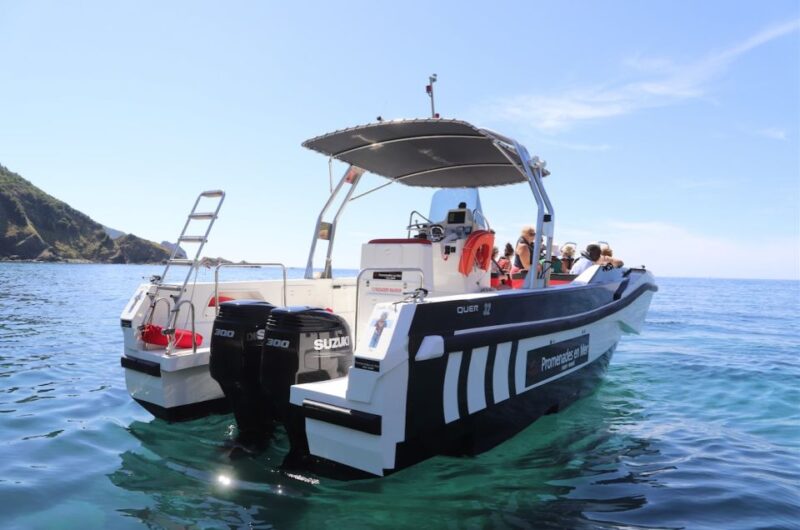 From Calvi: 2-Hour Sunset Cruise to Revellata Peninsula - Corsican Aperitif Onboard