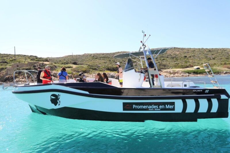From Calvi: 2-Hour Sunset Cruise to Revellata Peninsula - Diving Mask Availability