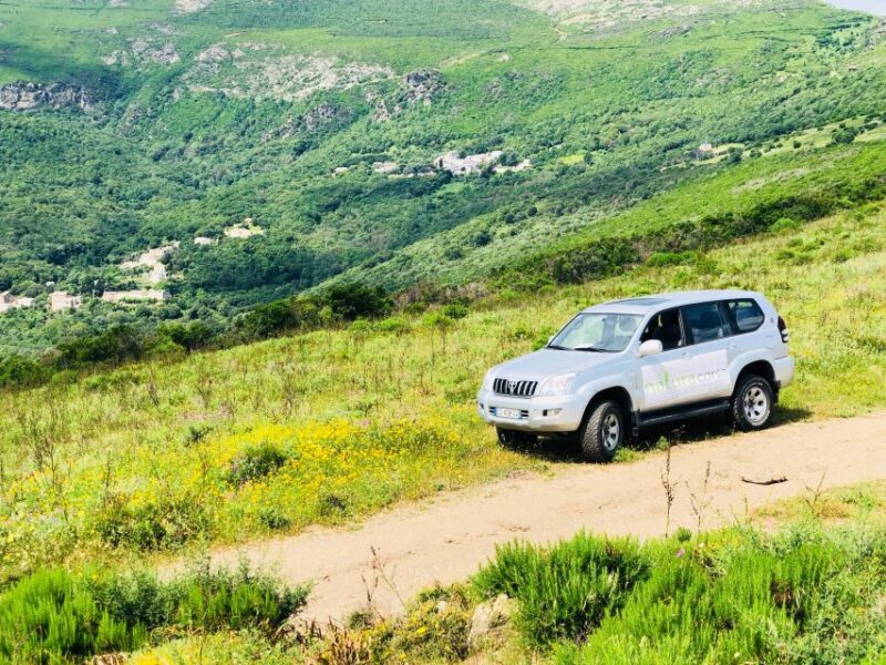 From Calvi: 4x4 Day Tour Mountain & Agriates Saleccia Beach - Highlights of the Tour