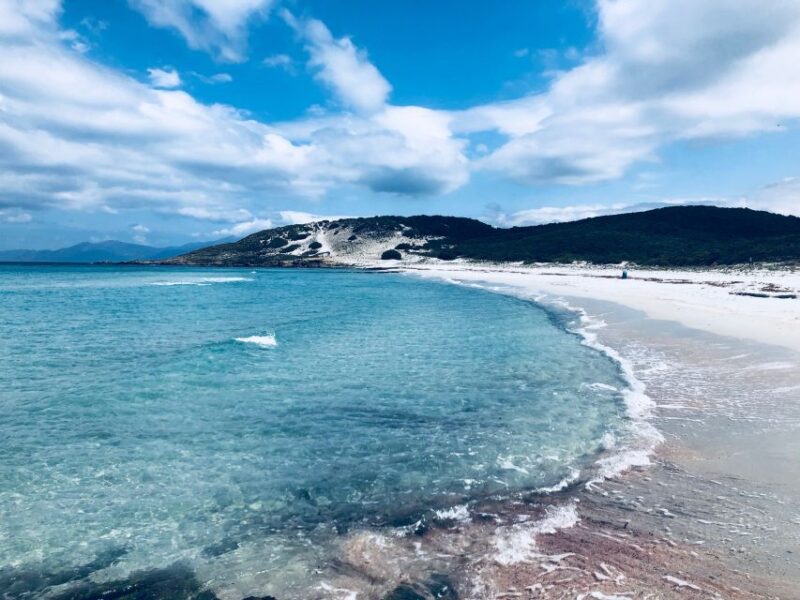 From Calvi: 4x4 Day Tour Mountain & Agriates Saleccia Beach - Itinerary Breakdown