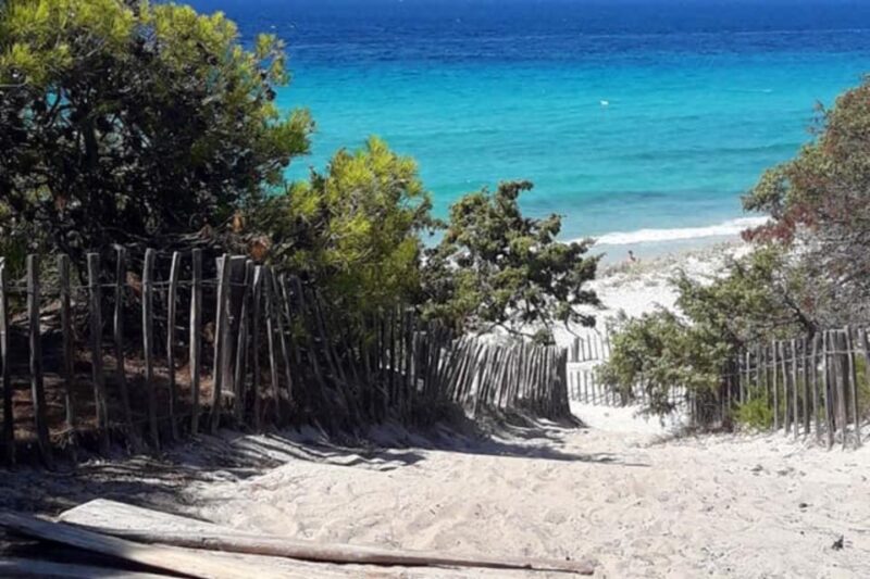 From Calvi: 4x4 Day Tour Mountain & Agriates Saleccia Beach - Transportation and Guide