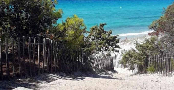 From Calvi: 4x4 Day Tour Mountain & Agriates Saleccia Beach - Restrictions and Requirements